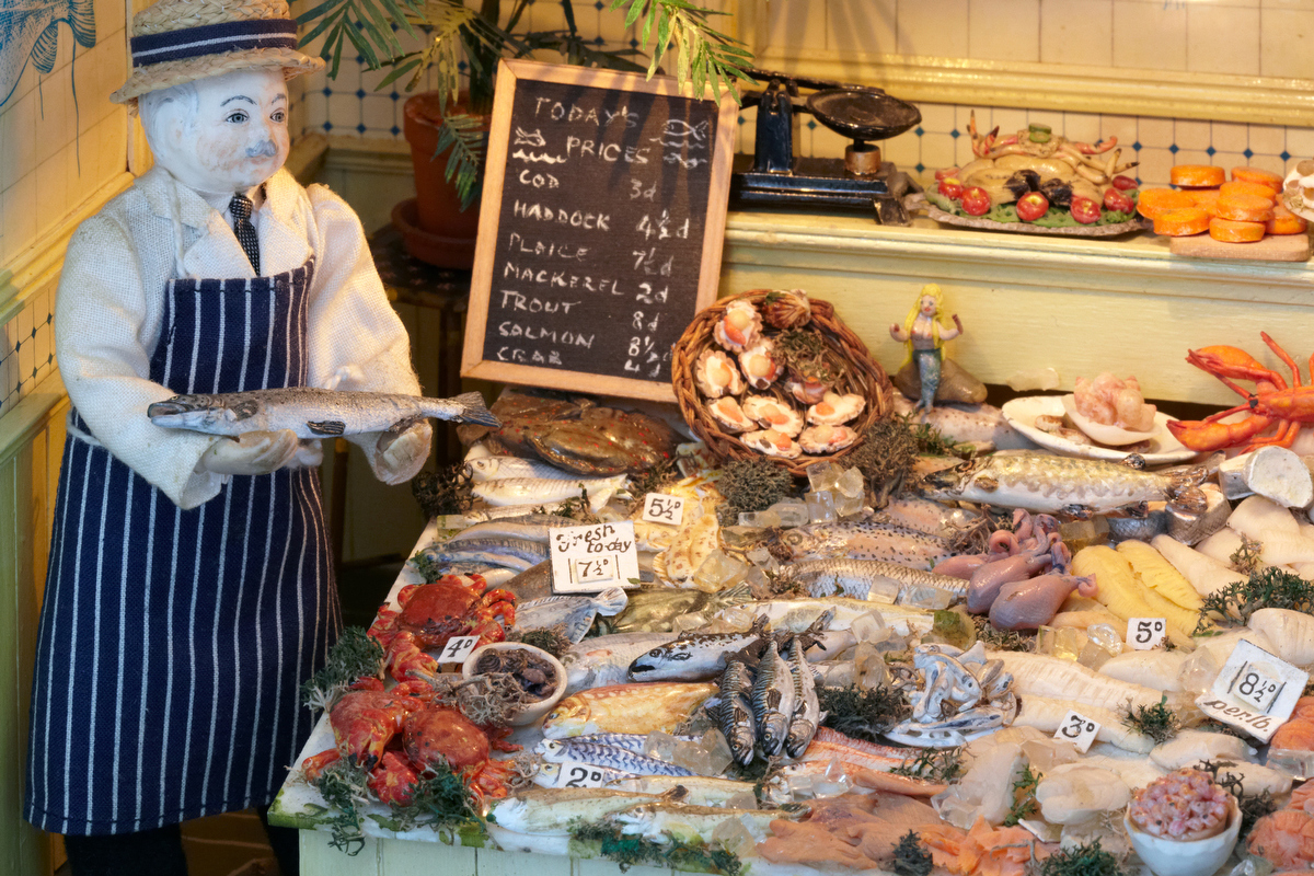 0097 John Dory fish counter